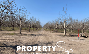 Propiedad Agrícola R. de Los Andes, R. de Valparaíso