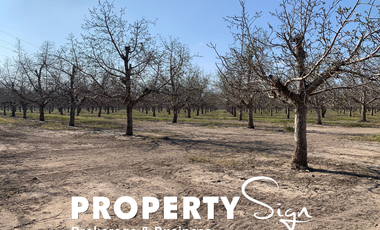 Propiedad Agrícola R. de Los Andes, R. de Valparaíso