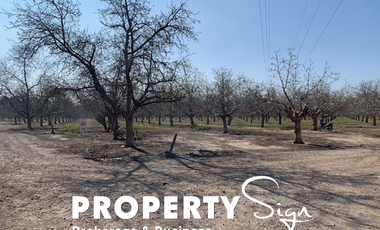 Propiedad Agrícola R. de Los Andes, R. de Valparaíso