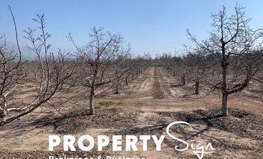 Propiedad Agrícola R. de Los Andes, R. de Valparaíso