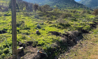 Parcelas Planas Y Con Pendiente En Quinta De Tilcoco