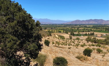 Parcelas Planas Y Con Pendiente En Quinta De Tilcoco