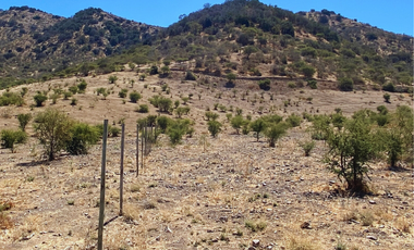 Parcelas Planas Y Con Pendiente En Quinta De Tilcoco