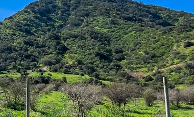 Parcelas Planas Y Con Pendiente En Quinta De Tilcoco