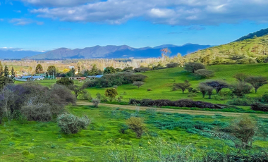 Parcelas Planas Y Con Pendiente En Quinta De Tilcoco