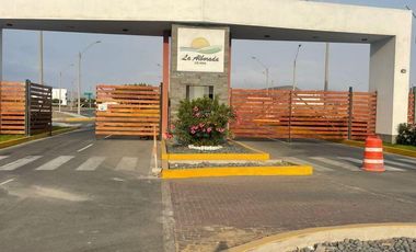 Venta De Terreno En Asia