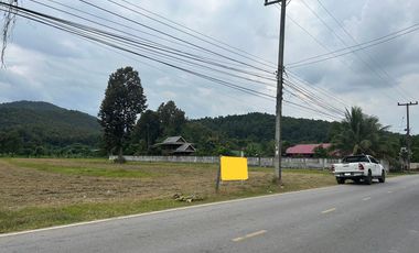 Land for sale in Mae On, mountain view, convenient travel.
