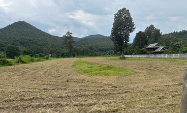 Land for sale in Mae On, mountain view, convenient travel.
