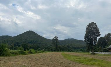 Land for sale in Mae On, mountain view, convenient travel.