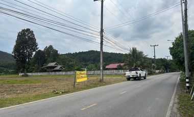 Land for sale in Mae On, mountain view, convenient travel.