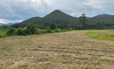 Land for sale in Mae On, mountain view, convenient travel.