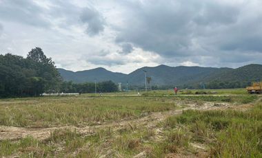 Land for sale in Mae On, next to the road, convenient to travel.