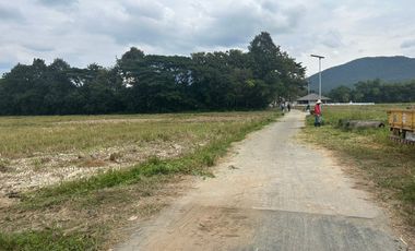 Land for sale in Mae On, next to the road, convenient to travel.