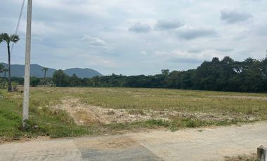 Land for sale in Mae On, next to the road, convenient to travel.