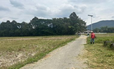 Land for sale in Mae On, next to the road, convenient to travel.