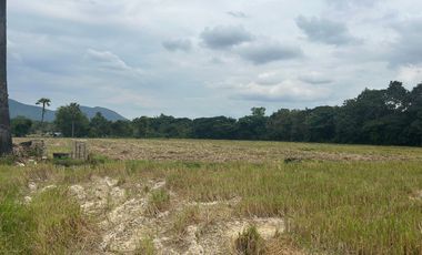 Land for sale in Mae On, next to the road, convenient to travel.