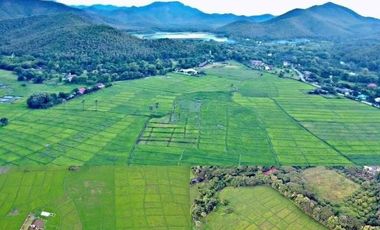 Land for sale in Mae On, next to the road, convenient to travel.