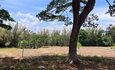 FARM LOT FOR SALE 6 HECTARES BESIDE THE FARM SAN BENITO LIPA BATANGAS CITY