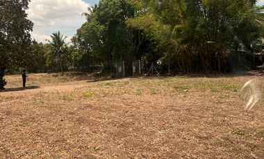 FARM LOT FOR SALE 6 HECTARES BESIDE THE FARM SAN BENITO LIPA BATANGAS CITY