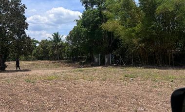 FARM LOT FOR SALE 3 HECTARES BESIDE THE FARM SAN BENITO LIPA BATANGAS CITY