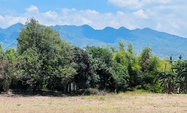 FARM LOT FOR SALE 3 HECTARES BESIDE THE FARM SAN BENITO LIPA BATANGAS CITY