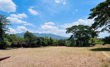 FARM LOT FOR SALE 3 HECTARES BESIDE THE FARM SAN BENITO LIPA BATANGAS CITY