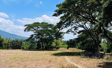 FARM LOT FOR SALE 3 HECTARES BESIDE THE FARM SAN BENITO LIPA BATANGAS CITY