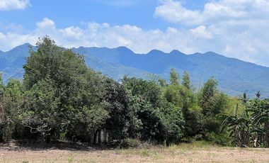 FARM LOT FOR SALE 3 HECTARES BESIDE THE FARM SAN BENITO LIPA BATANGAS CITY