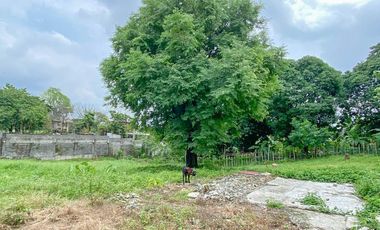 Residential Lot for Sale in Amuntay Zone 3, Dasmarinas, Cavite