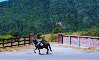 Parcelas En San Fernando, Sector Puente Negro