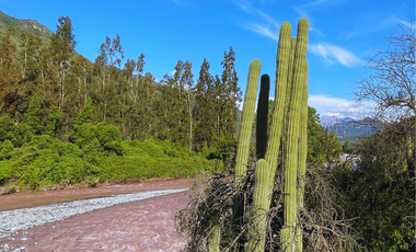 Parcelas En San Fernando, Sector Puente Negro