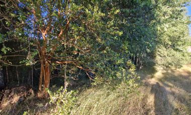 Parcela a 10 minutos desde el centro de Villarrica.