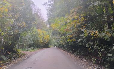 Parcela a 10 minutos desde el centro de Villarrica.
