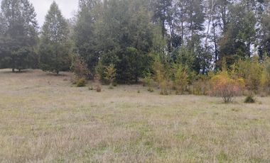 Parcela a 10 minutos desde el centro de Villarrica.