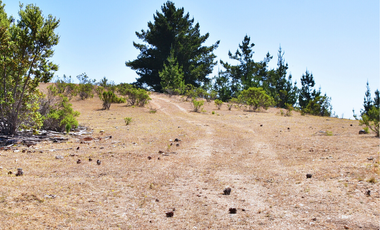Parcelas en Pichilemu, sector Quebrada de Nuevo Reino