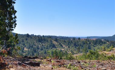 Parcelas en Pichilemu, sector Quebrada de Nuevo Reino