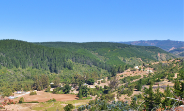 Parcelas en Pichilemu, sector Quebrada de Nuevo Reino