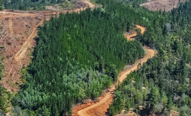 Parcelas en Pichilemu, sector Quebrada de Nuevo Reino