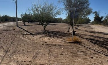 venta terreno fracc. campestre real del alamito