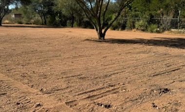 venta terreno fracc. campestre real del alamito