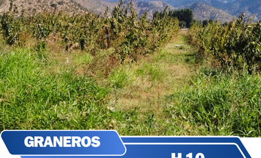 Terreno en venta en Cachapoal, Graneros