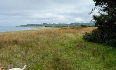 Campo en Maullín – Río Astillero – Región de los Lagos