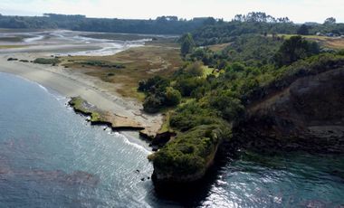 Campo en Maullín – Río Astillero – Región de los Lagos