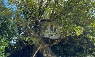 Campo en Maullín – Río Astillero – Región de los Lagos