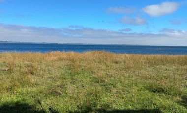 Campo en Maullín – Río Astillero – Región de los Lagos