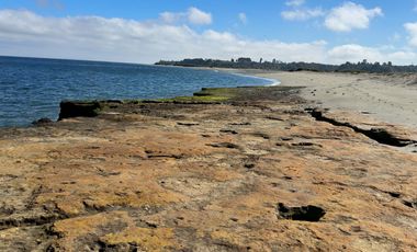 Campo en Maullín – Río Astillero – Región de los Lagos