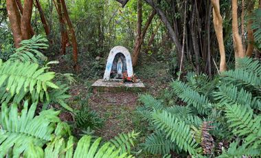 Campo en Maullín – Río Astillero – Región de los Lagos