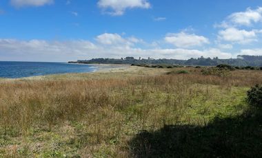 Campo en Maullín – Río Astillero – Región de los Lagos