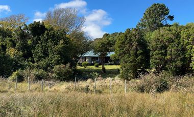 Campo en Maullín – Río Astillero – Región de los Lagos