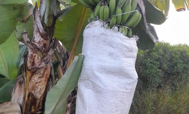 TERRENO  en Condominio Para Tu Casa Huerta